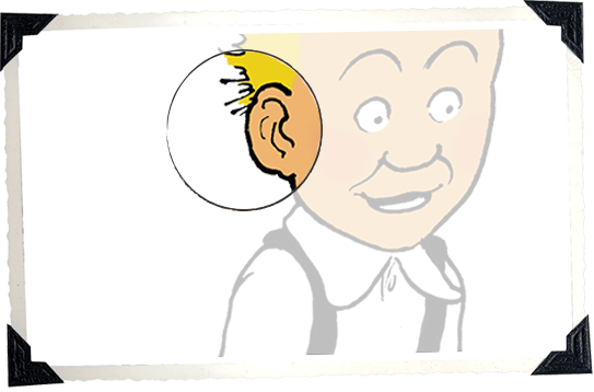 Oor Wullie Quiz - What is this - Image of an ear.