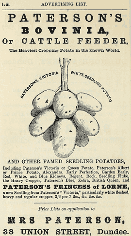 Advert with text and a drawing of potatoes