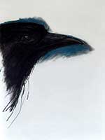 'Crow' 1