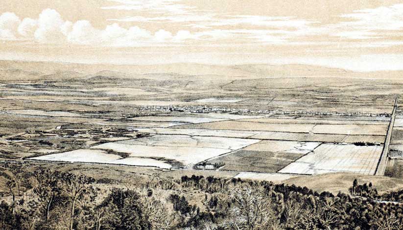 Image of the Tokomairiro Plain.