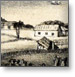 Dunedin in 1848