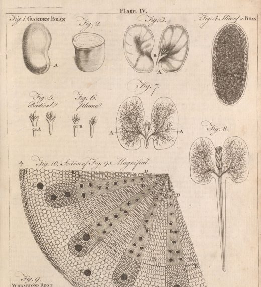 Agriculture Plate IV, volume 1 A-B, page 41