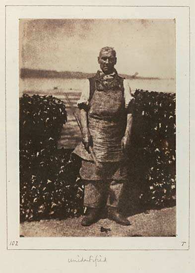 Portrait of unidentified man. Presumably the gardener at Creich Cottage, Fairlie, which is where this calotype was apparently taken.  Behind him is the crenellated sea-wall and Cumbrae in the background.