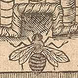 Detail from engraving of bees and hive