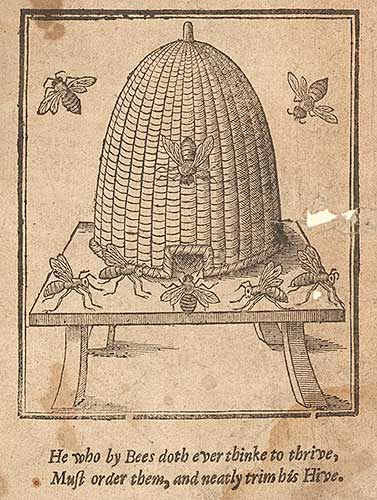 Engraving of hive and bees